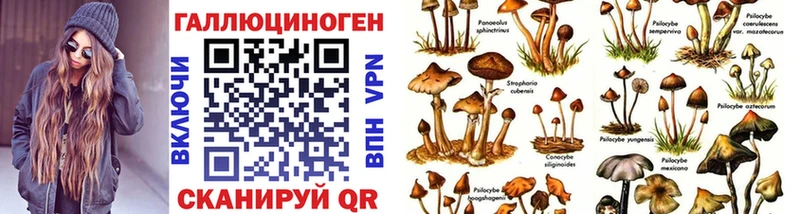 Псилоцибиновые грибы прущие грибы  kraken зеркало  Харабали 